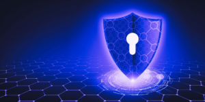 The Pros and Cons of Honeypots: Are They Right for Your Business?