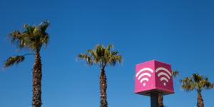Why Public Wi-Fi Is a Haven for Hackers and Malware
